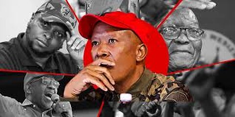 Where's Julius Malema's money coming from?