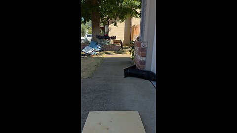 Pulper swats drone