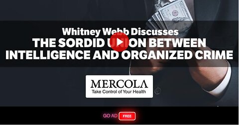 The Sordid Union Between Intelligence and Organized Crime- Interview with Whitney Webb