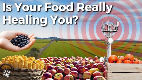 Food Is Medicine… But Only If You Remove the EMF / 5G Poison First
