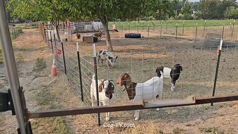 Graham Family Farm NW: 9:00 AM September 4 2025