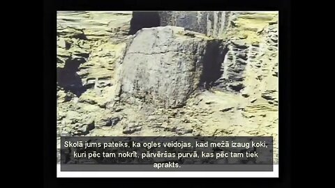Dr Hovind Sem4 — "Meli mācību grāmatās" — LV Latviešu valoda — Lettish