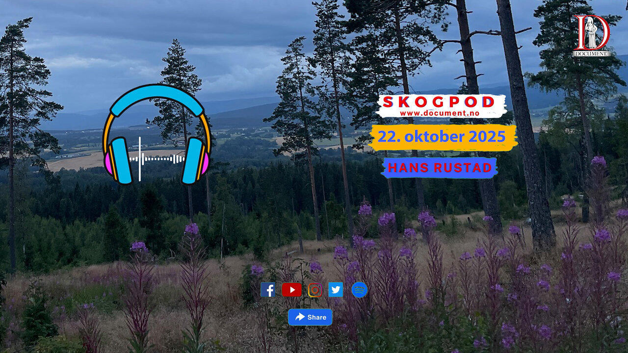 Skogpod 22. oktober 2025