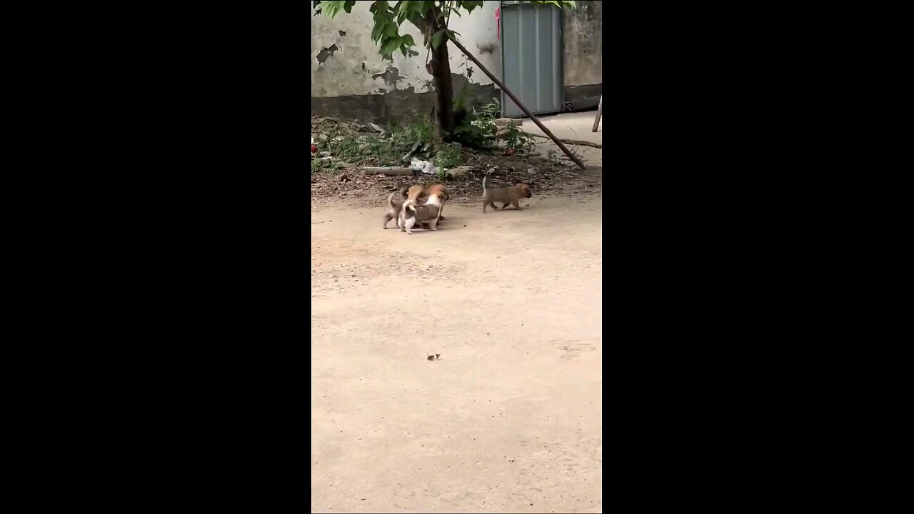 ये कहा आ गये हम