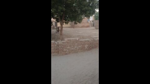 kabrestan vedio