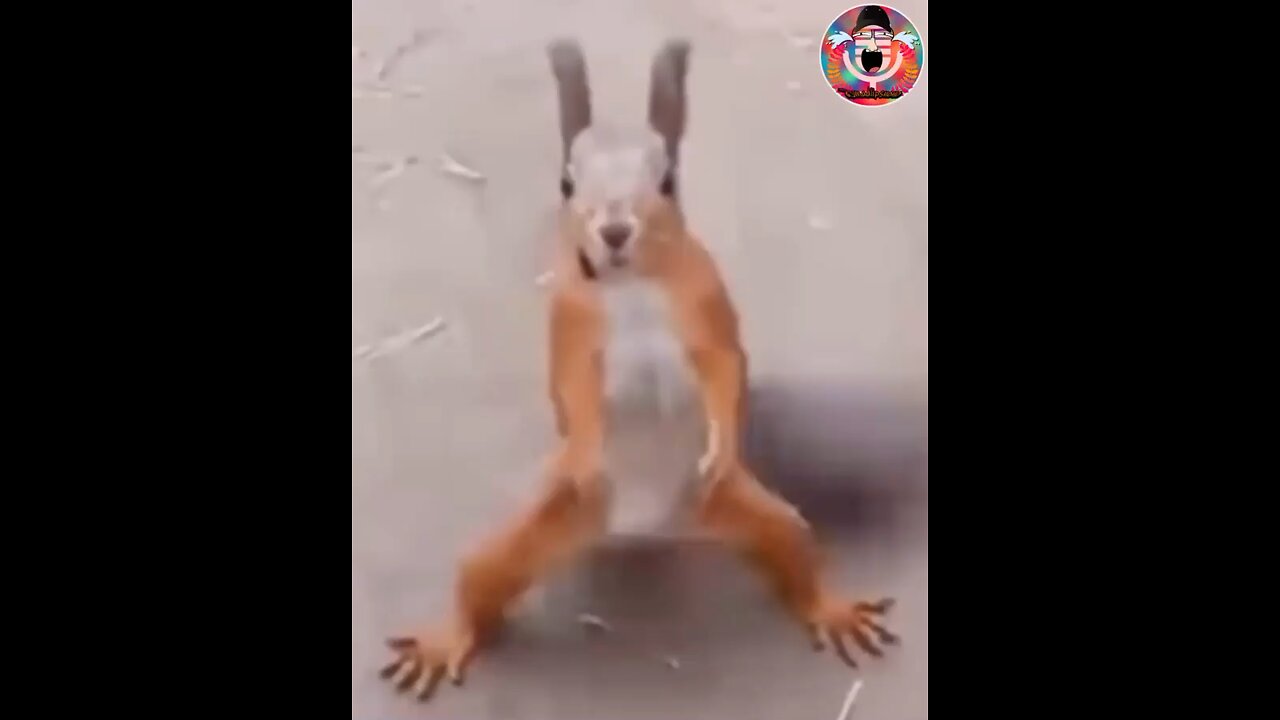 Boogie boy