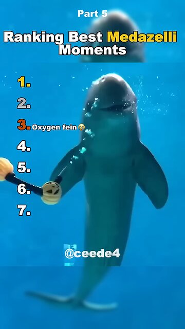 funniest madazelli😅😅😅😅😅