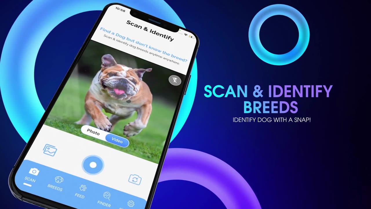 AI based Dog Breed Identifier