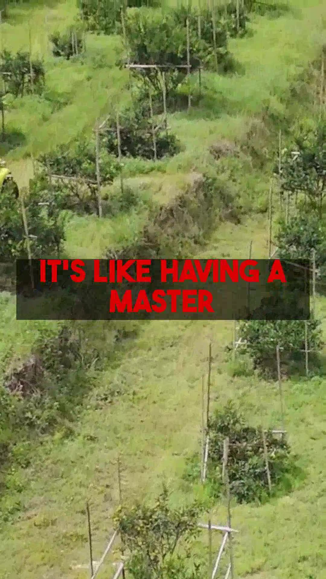 Effortless Garden Success: AI Planning Best Practices with gardenplanbyai.com