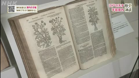 歴史探偵 江戸の天才 平賀源内
