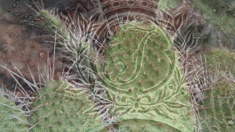 Gibraltar Rock The Alameda Botanical Garden Photo book by Chris Summerfield.