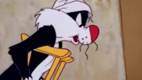 funny funny videos funny jokes funny animals funny memes funny movies funny bone funny pictures