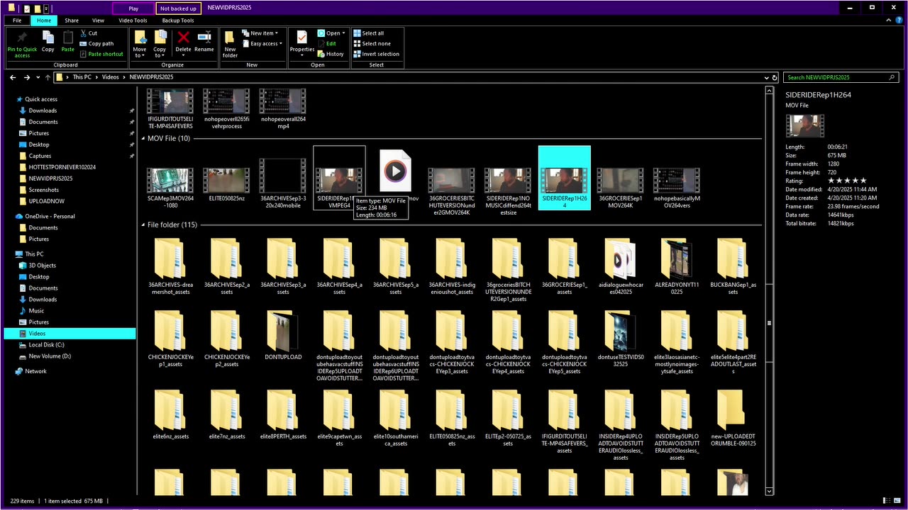 decidingwhcihsitegetswhatrecord_2025-11-04_09-52-25