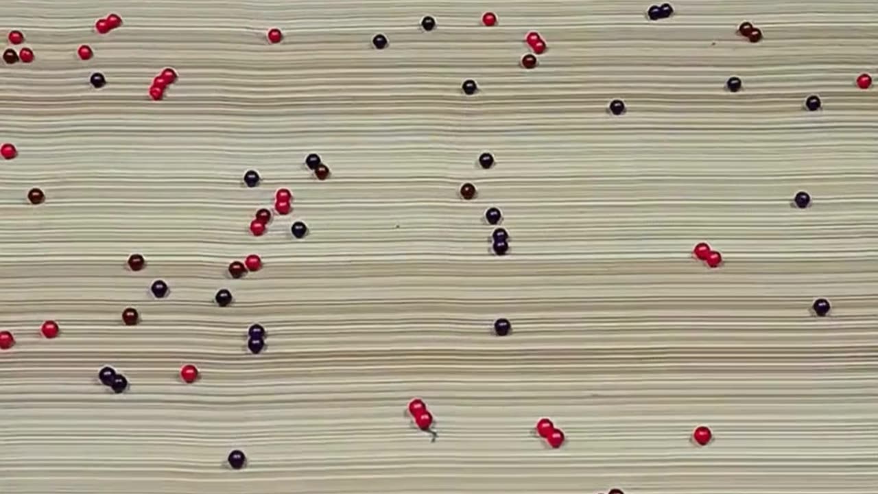 Funny Cat Barsik Beads 🟣🔴 Reverse Video / Cat sound | Cat videos #cat #funny #love