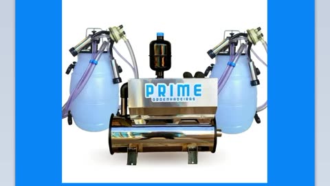 Ordenhadeira Inox Completa Bv 450, Motor 2cv, 2 Conjuntos de ordenha - PRIME