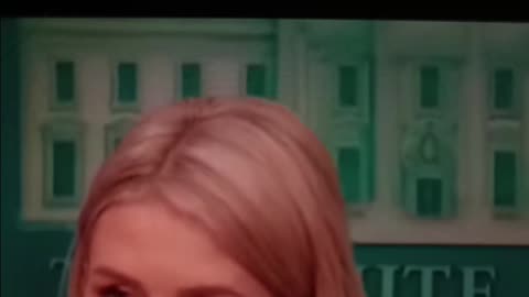 Karoline and reporter get into it over trump pressing south African president