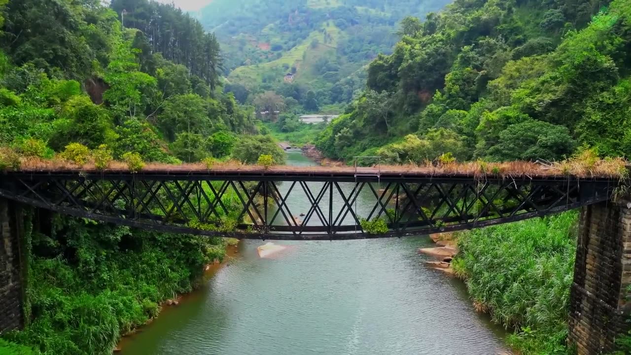 Gentle Music To Calm Yourself