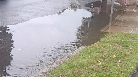 Runoff after the downpour