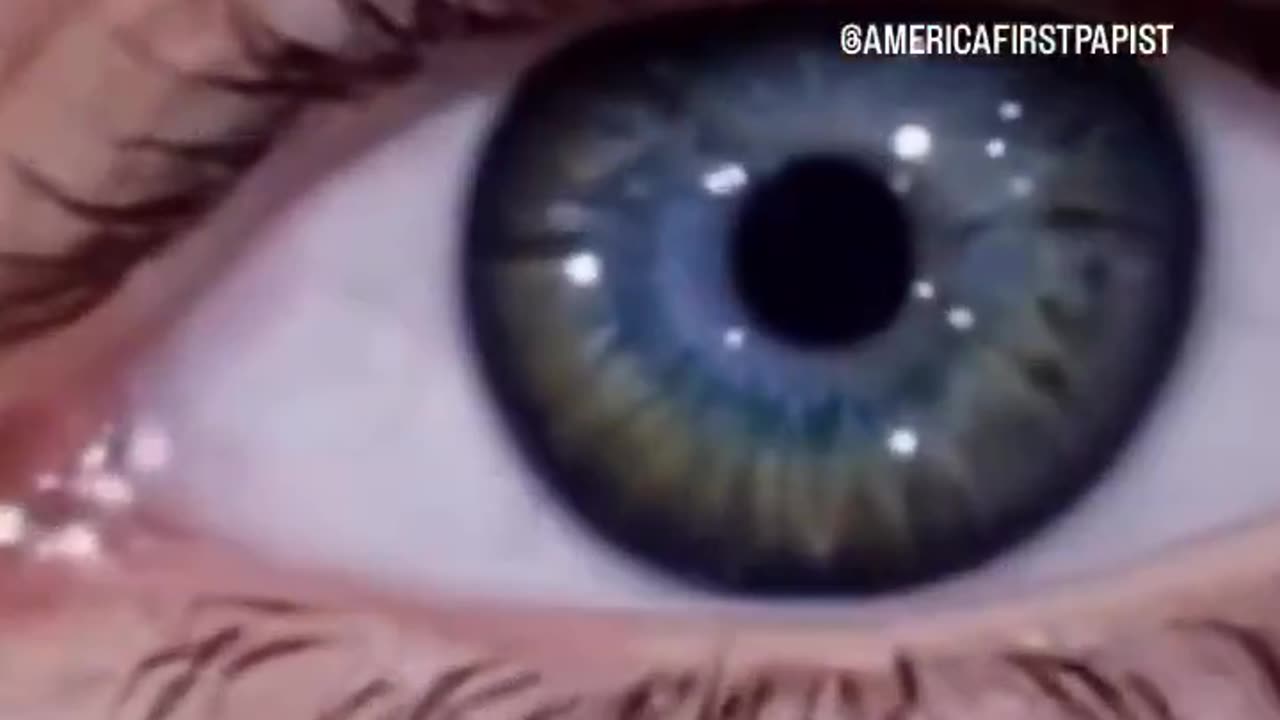 Based Edit