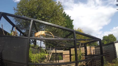 Mark Clark Portrush, family & friends in Ballintoy Harbour & Belfast Zoo, UK & Ireland 2019 to 2025.