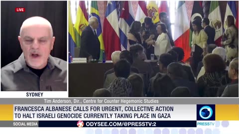 Albanese says US sanctions against her violate protections granted to UN officials