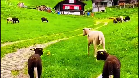 Beautiful view of nature