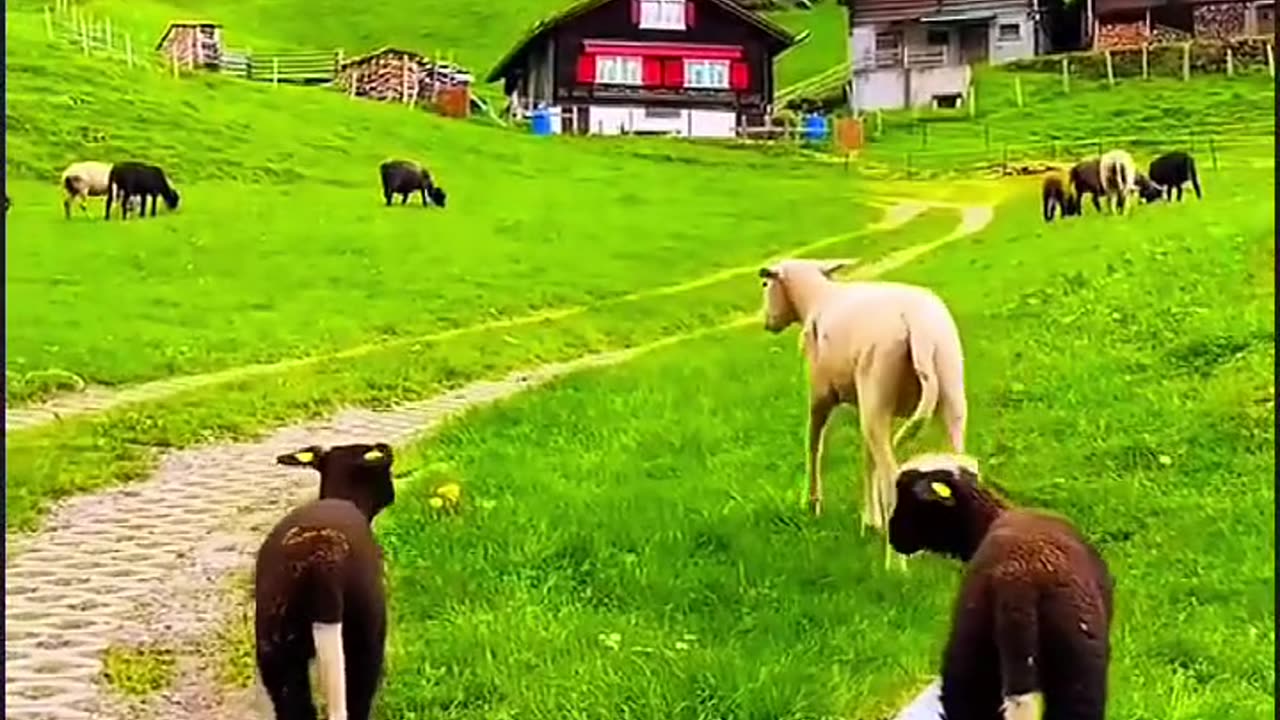 Beautiful view of nature