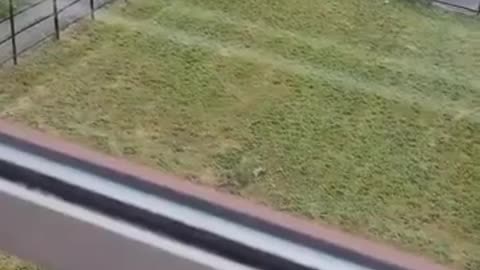 Kicking off in Scotland