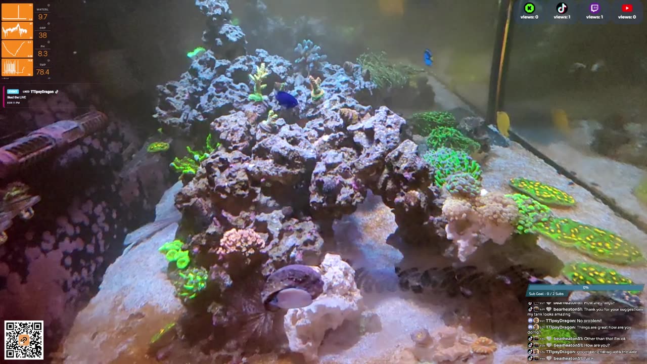 24/7 Real Live Reef Stream