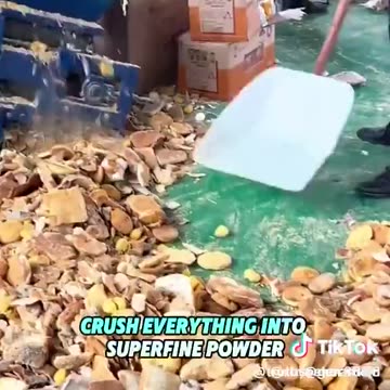 CHINA'S FOOD RECYCLING?