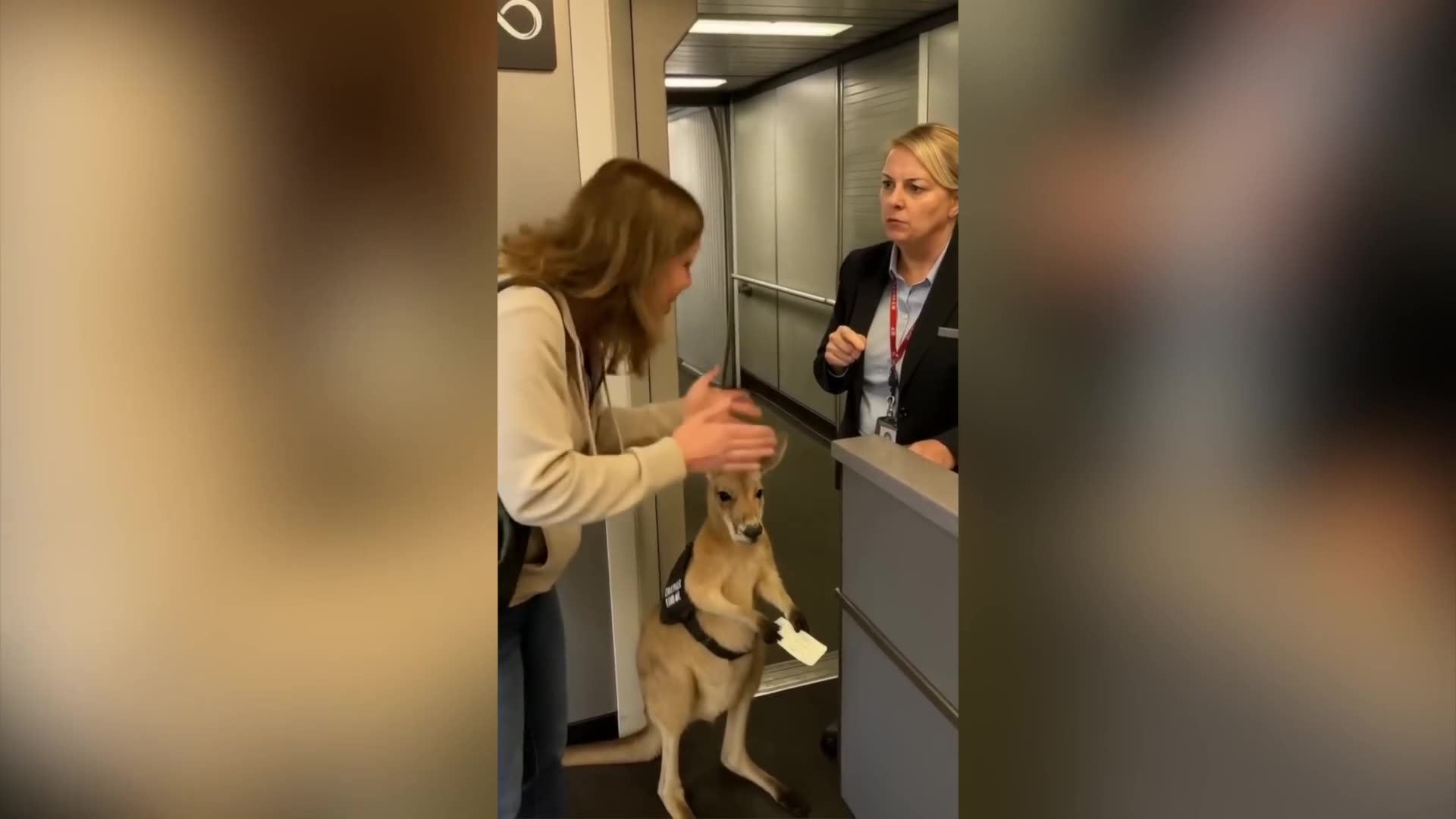 RIB-TICKLING SUNDAY 6/15/25