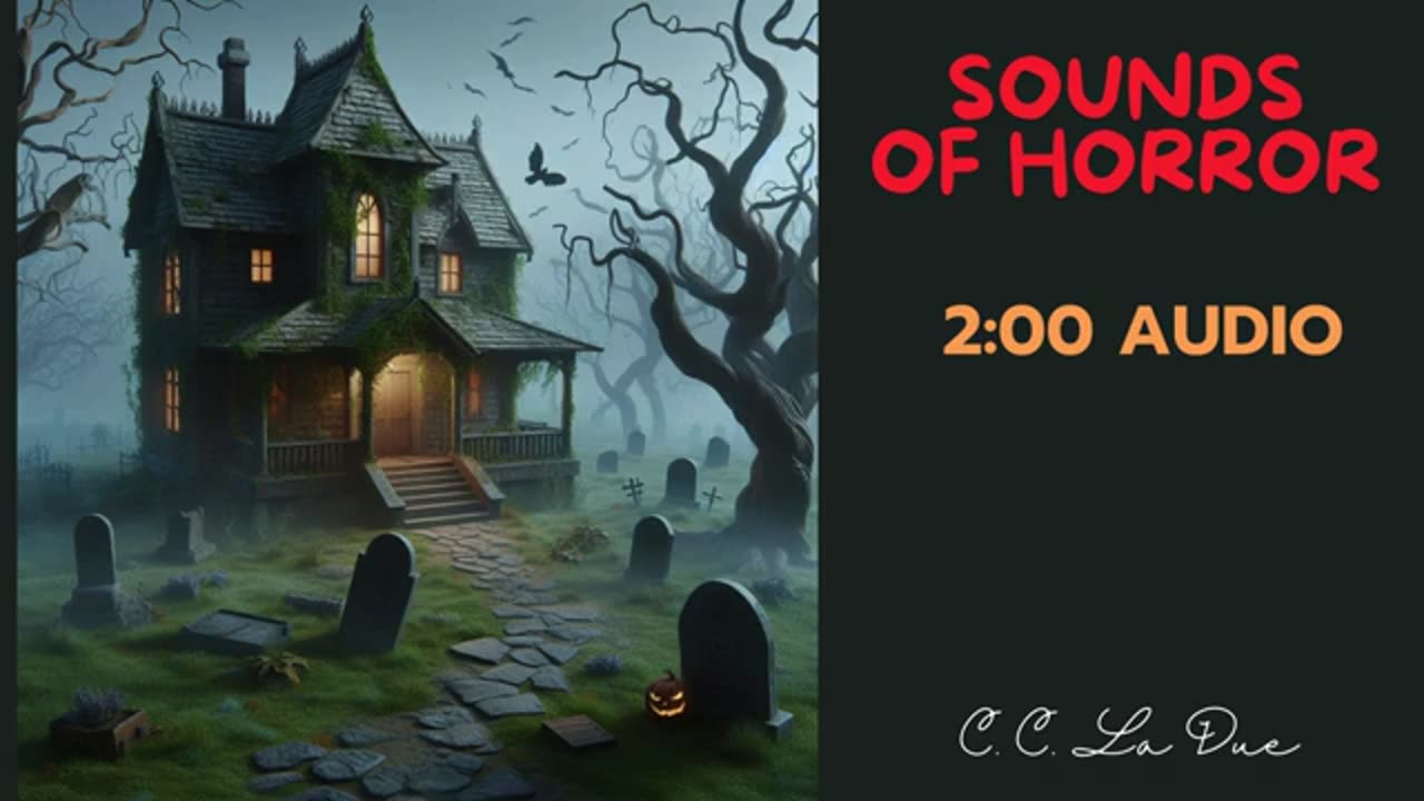 SOUNDS OF HORROR | Ghost Attack | Entertainment only | High-quality audio | GlaceVerb