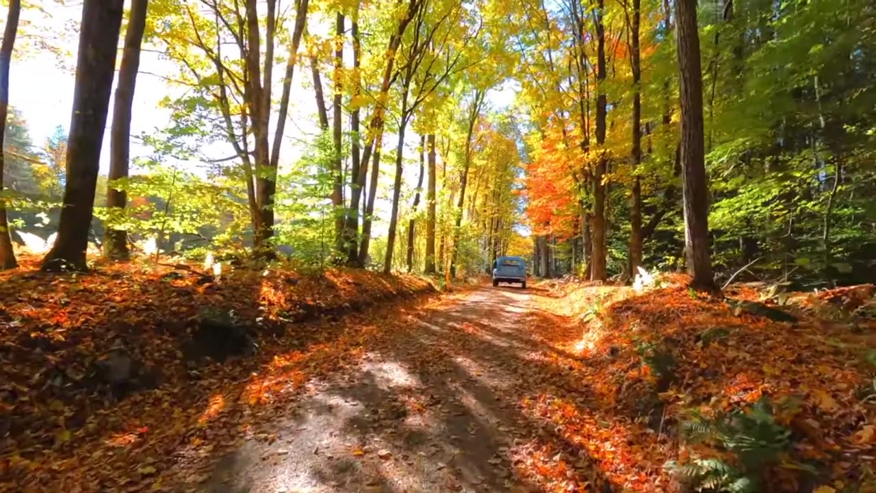 Josh Baldwin - Narrow Road (Lyric Video)