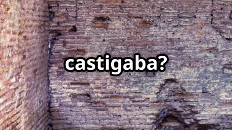"Del Crimen al Castigo: Cómo Roma Condenaba a Quien Mataba a su Progenitor