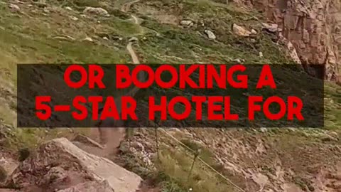 Budget Friendly Exeter Experiences for Solo Travelers