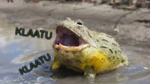 Klaatu bullfrog - Calling occupants intro