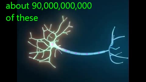 60.1.2 the brain and ai