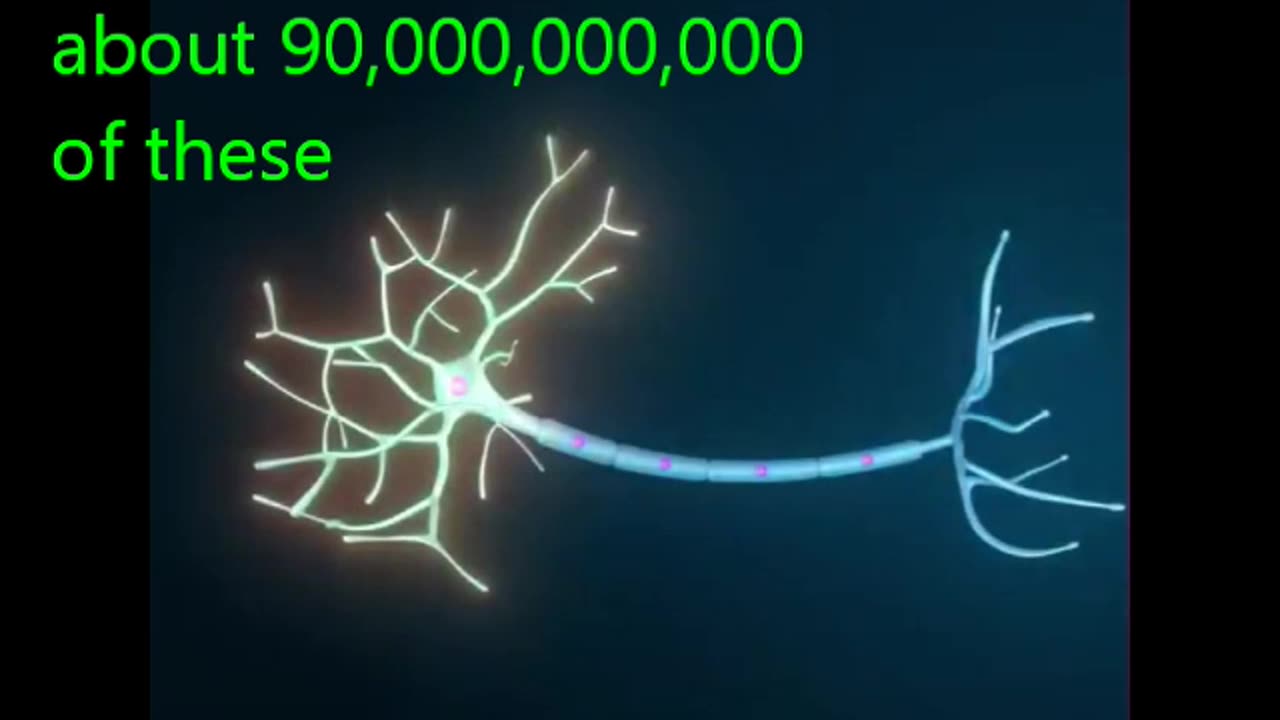 60.1.2 the brain and ai