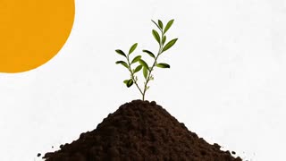 cartels controls municipalities(cities)mexico copy paste into you city provably