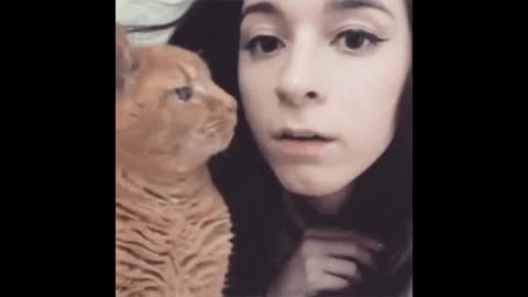 adorable pets