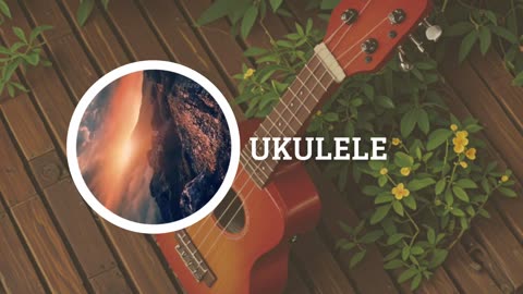 Ukulele by zufallige