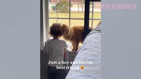 babies and pets