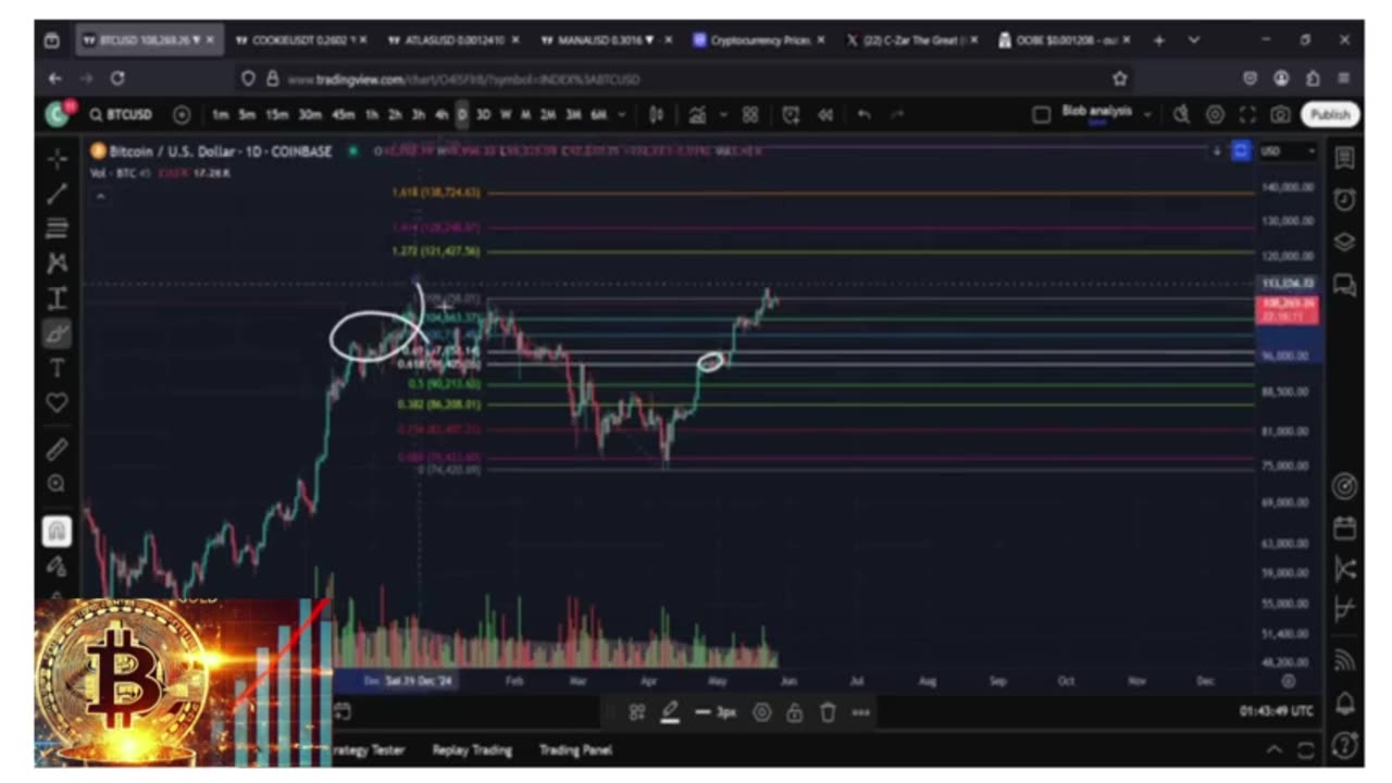🚀 Bitcoin (BTC) End-of-Month Rally Kicks Off NOW – Are You Positioned to Profit?