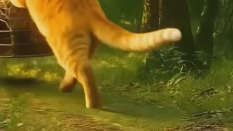 Ai animated orange cat funny cartoon video 😹💥 White tiger Cubs Taken by a Fat Cat!?