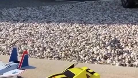 🎃️ Mind Blown: 5 Spooky Facts About Halloween! | FeedMyCuriosity