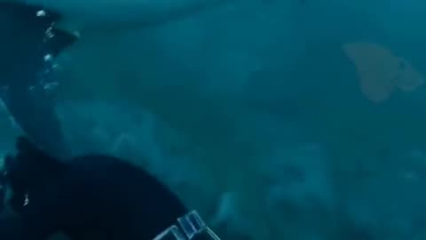 👻🔮 You Won't Believe What They Caught on Camera! #ghostlytoksa | TheHauntingHour