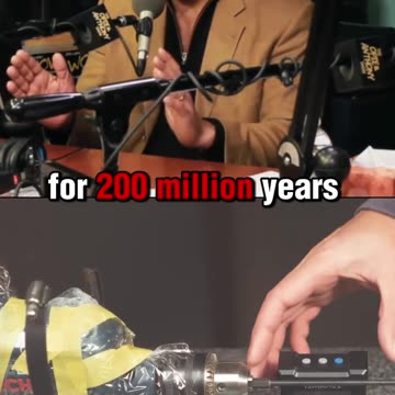 "If Dinosaurs 🦖 Still Roamed the Earth!"