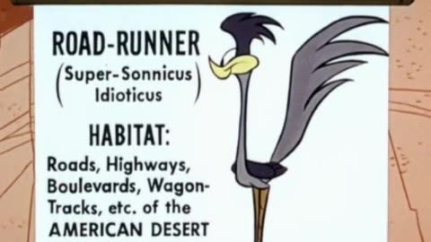 Wile E. Coyote And Road Runner - (Ep. 26) - Zip Zip Hooray!