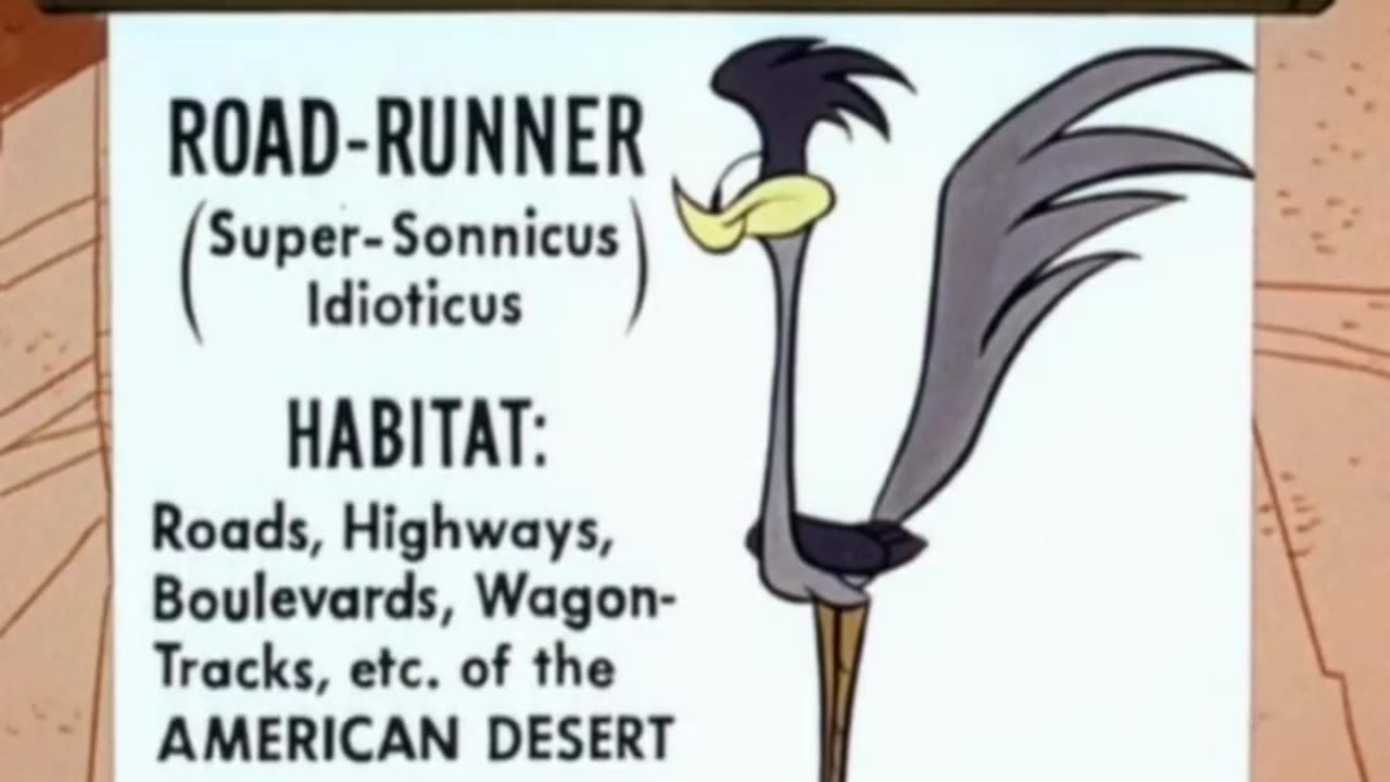 Wile E. Coyote And Road Runner - (Ep. 26) - Zip Zip Hooray!