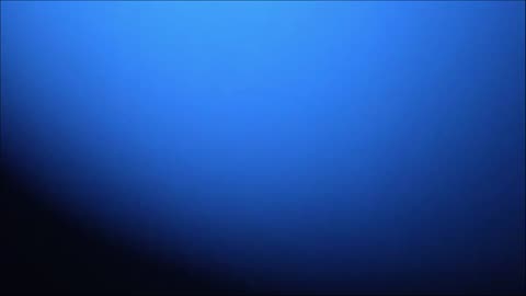Truman show 2. Aug. 1. 2003
